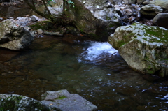 DSC_0024