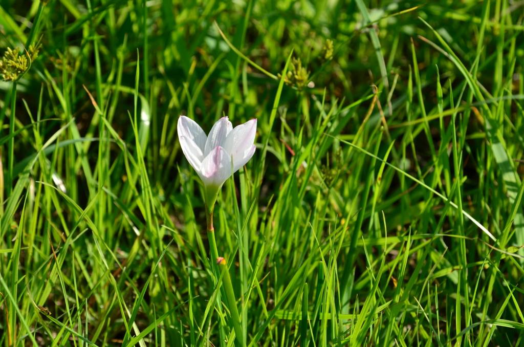 DSC_0065