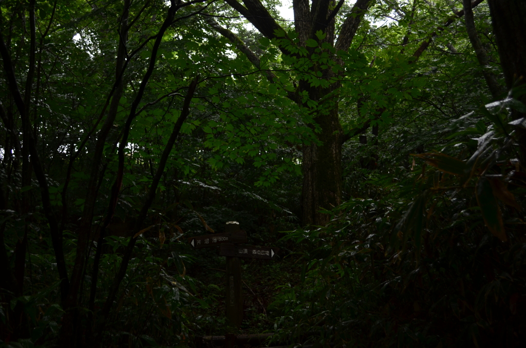 DSC_0005