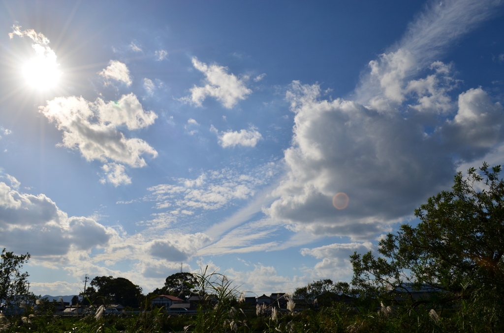 DSC_0064