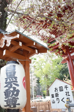 ようこそ、目黒不動尊へ。