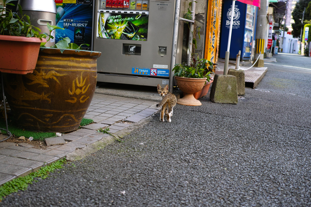 来るな、お前にはまだ早い