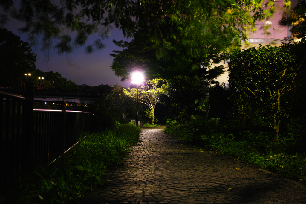 遊歩道【夜】