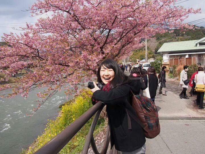 河津桜