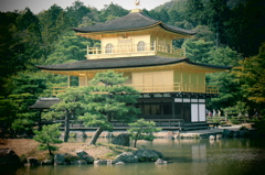 金閣寺