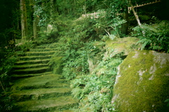 静