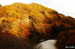 夕暮れ