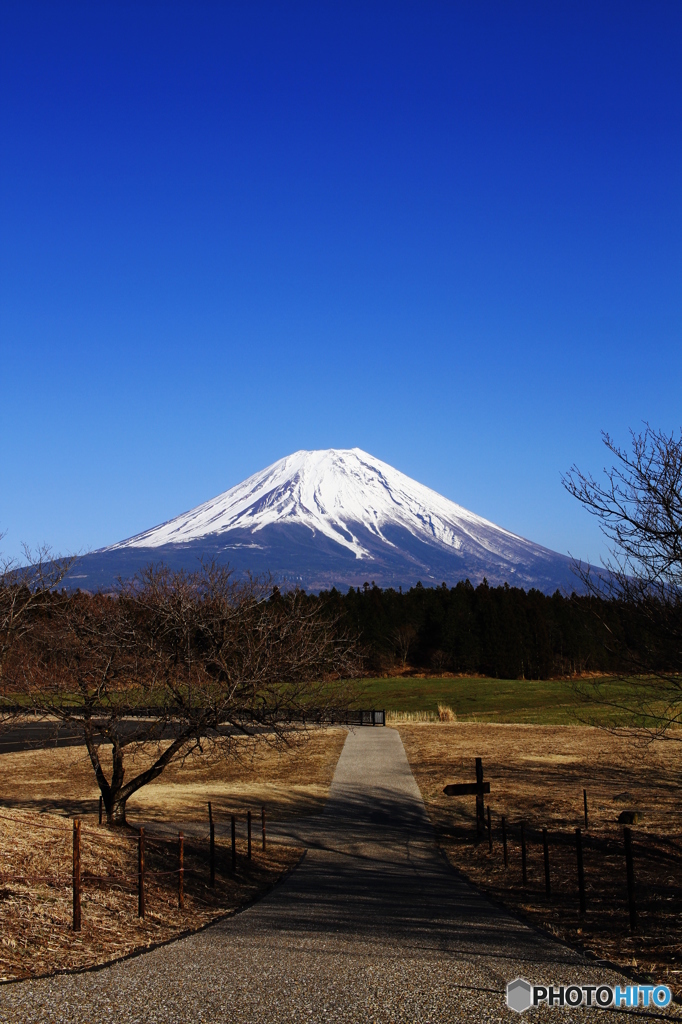 富士山