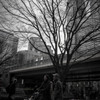 家族の横顔　①