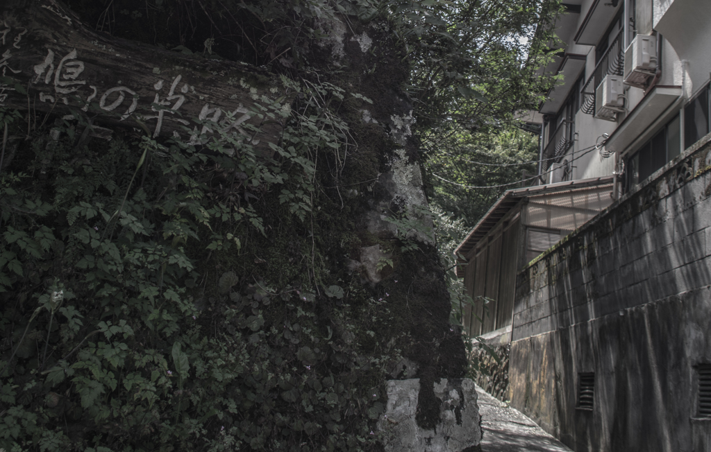 鳩の草路