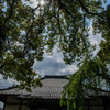 伽藍の輝き