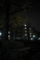 秋の夜に、 ①