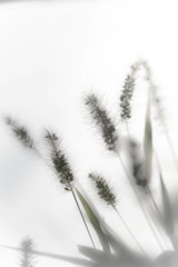 秋色  Feeling　⑦