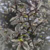 春の唄が聞こえる’17　⑩