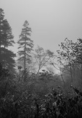 雲中山行　⑤