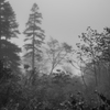 雲中山行　⑤