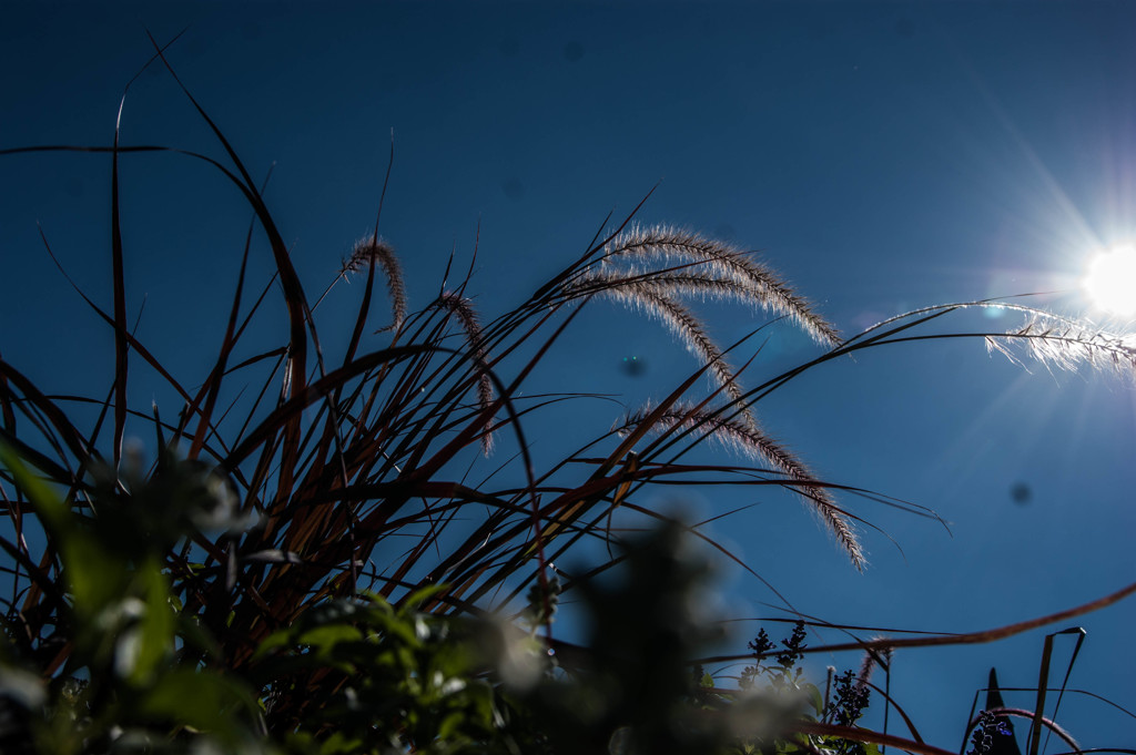 秋色 Feeling　⑫　～了～