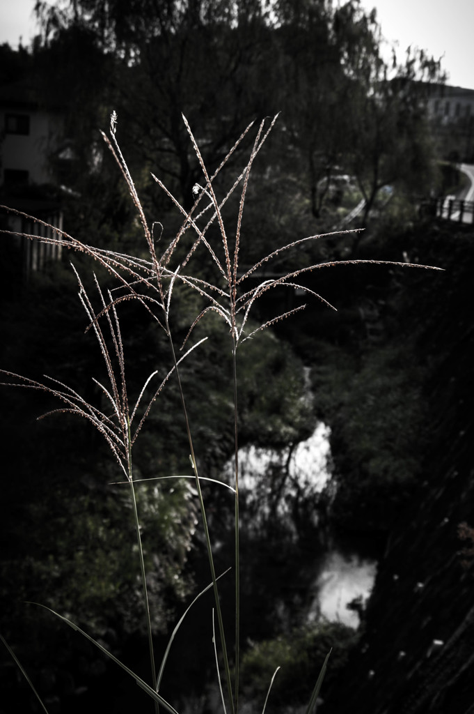 秋色 Feeling　②