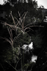 秋色 Feeling　②