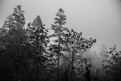 雲中山行　⑥