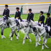 at the races ~ceremony 