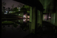 夜の公園　①