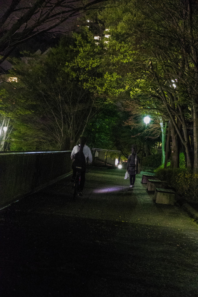 夜の公園　④