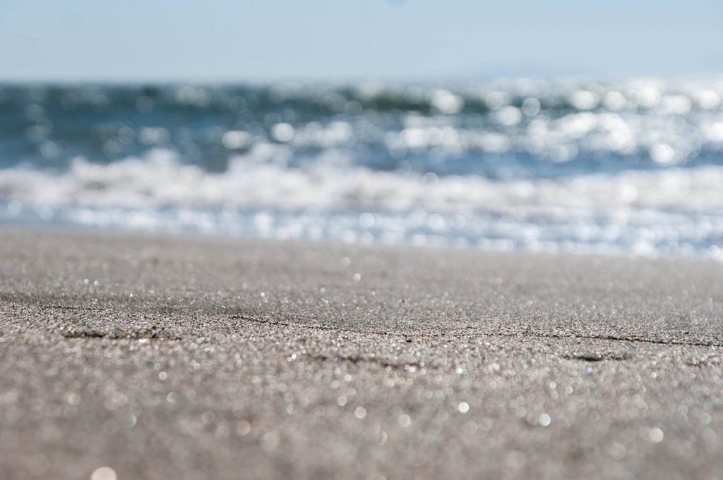 潮風に呼ばれて ④