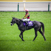 at the races~凱旋①
