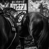 at the races ~muscle power③