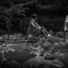 蓮池の辺（ほとり）で　⑤