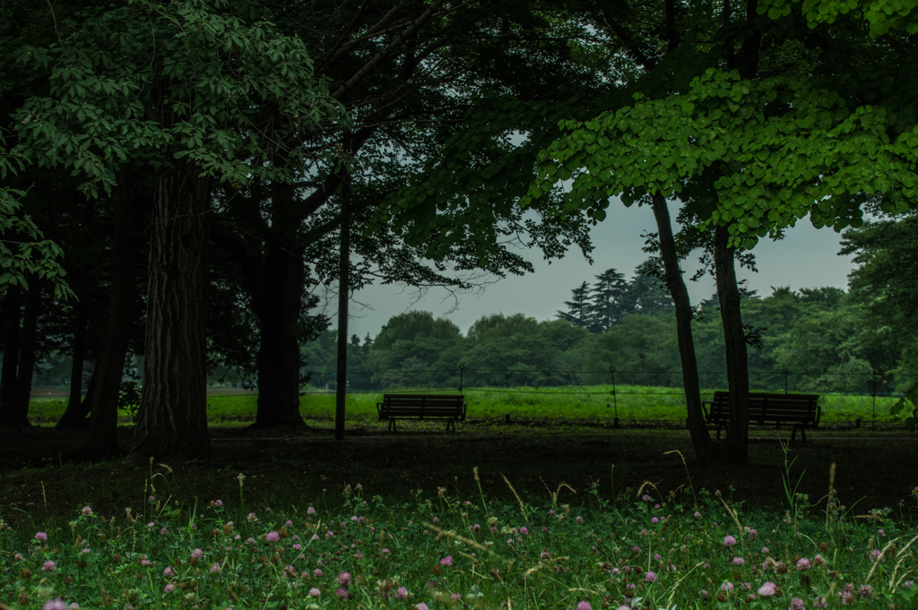 誰もいない公園　①