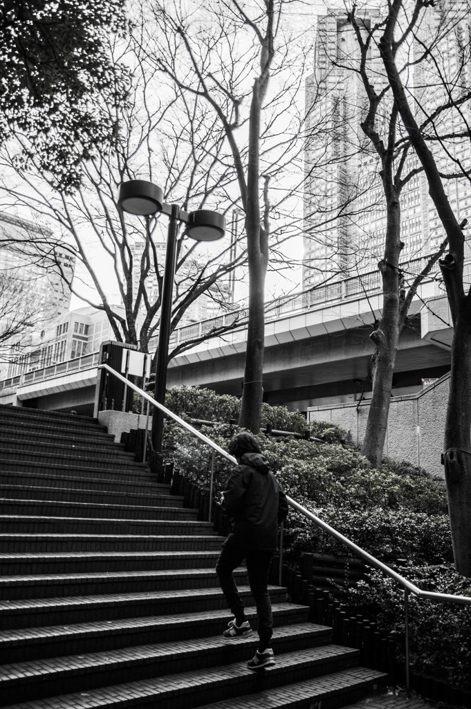 都庁の見える風景　②