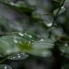 梅雨の合間に　④