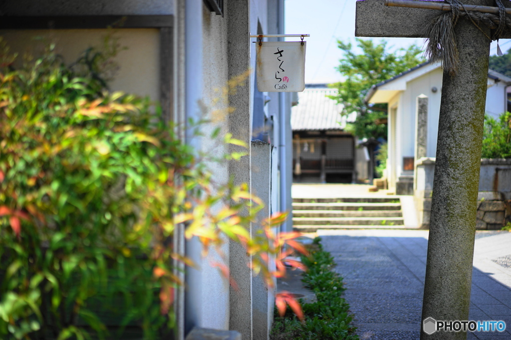 鳥居に寄り添う