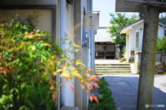 鳥居に寄り添う