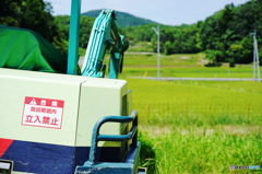 帰省
