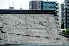 寺院の屋根