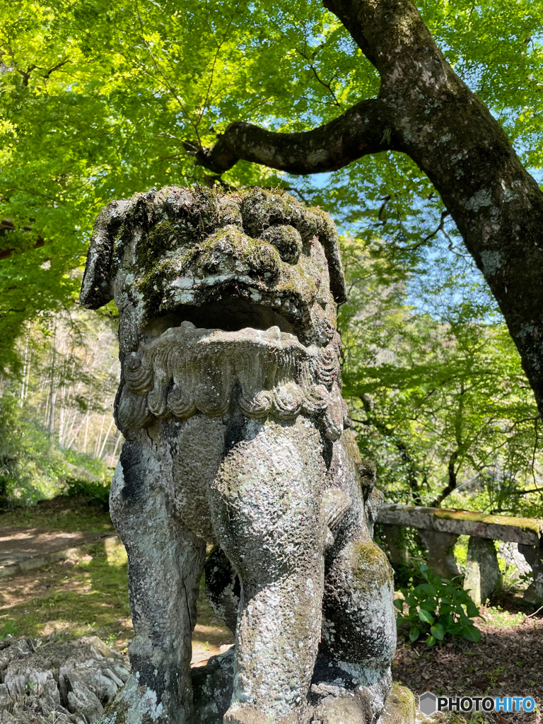 新緑の中で２
