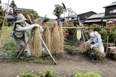 案山子さんの稲わら干し