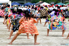 衣装共演