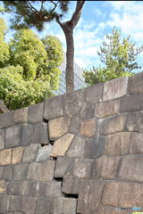 石垣もズレます？