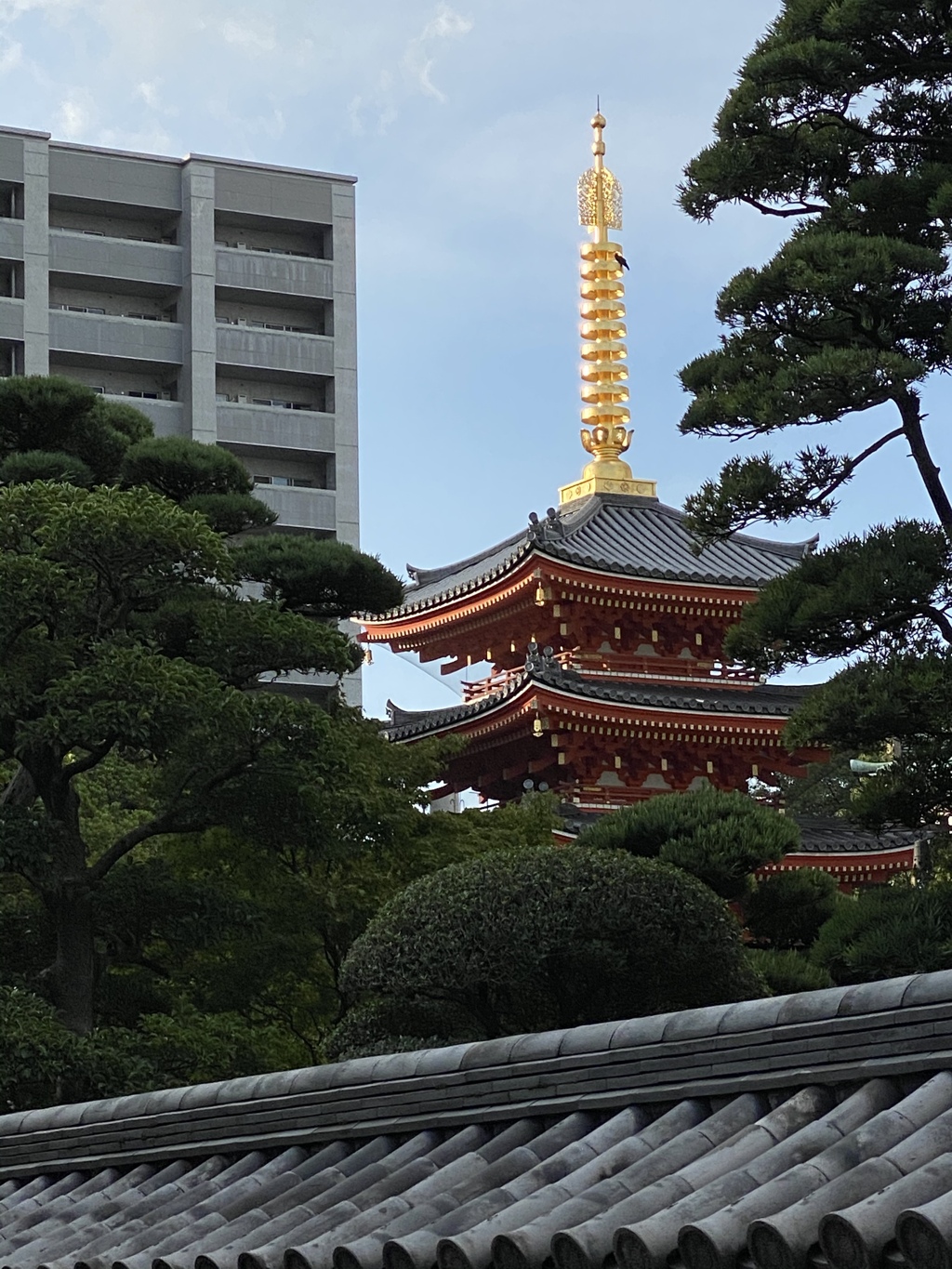 都心の静寂
