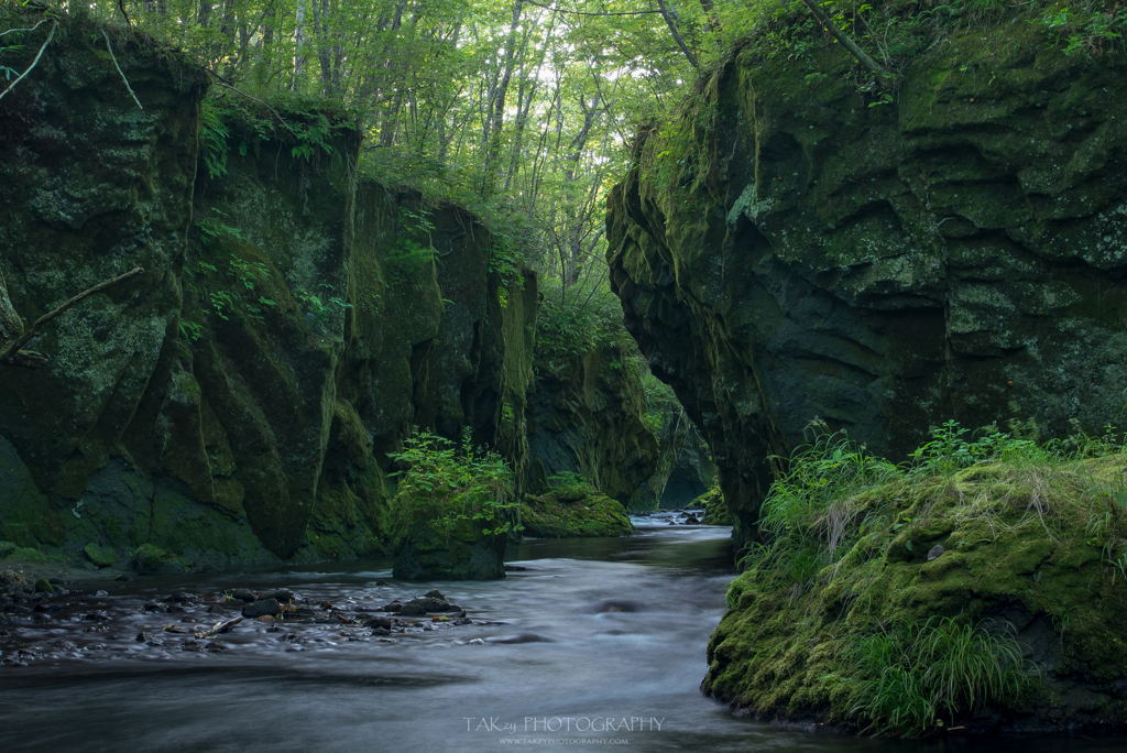 The moss river