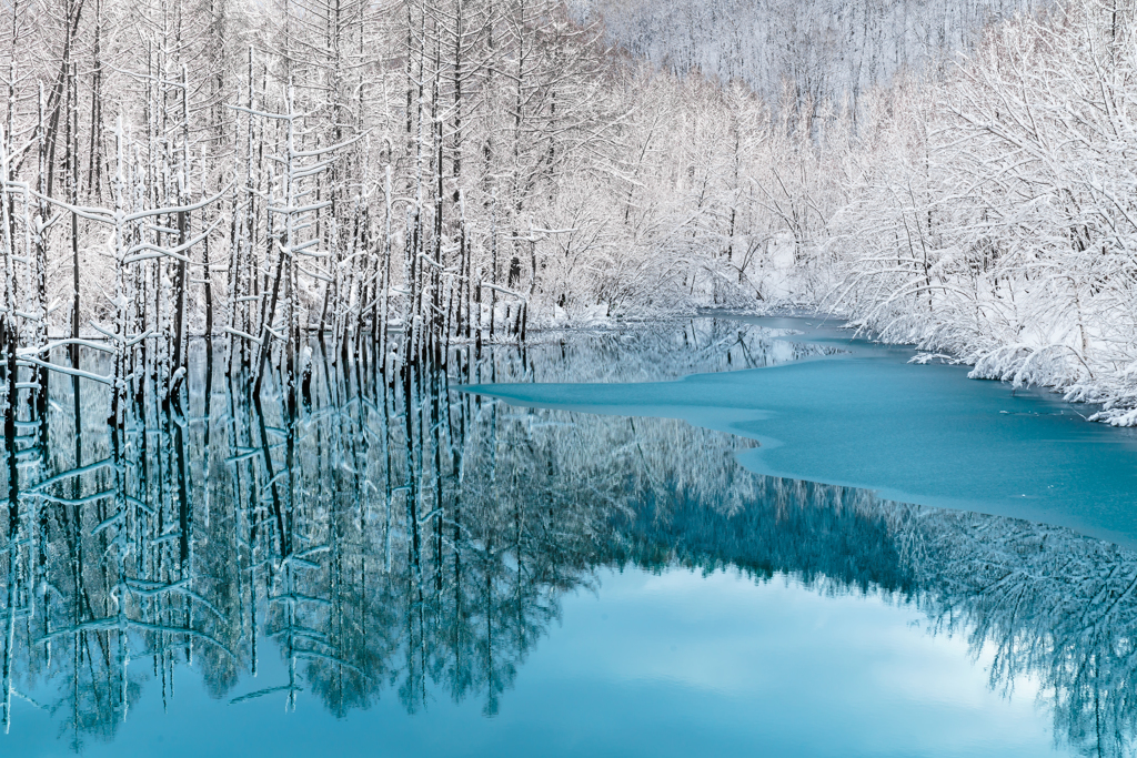 Cold Blue Pond