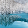 Cold Blue Pond