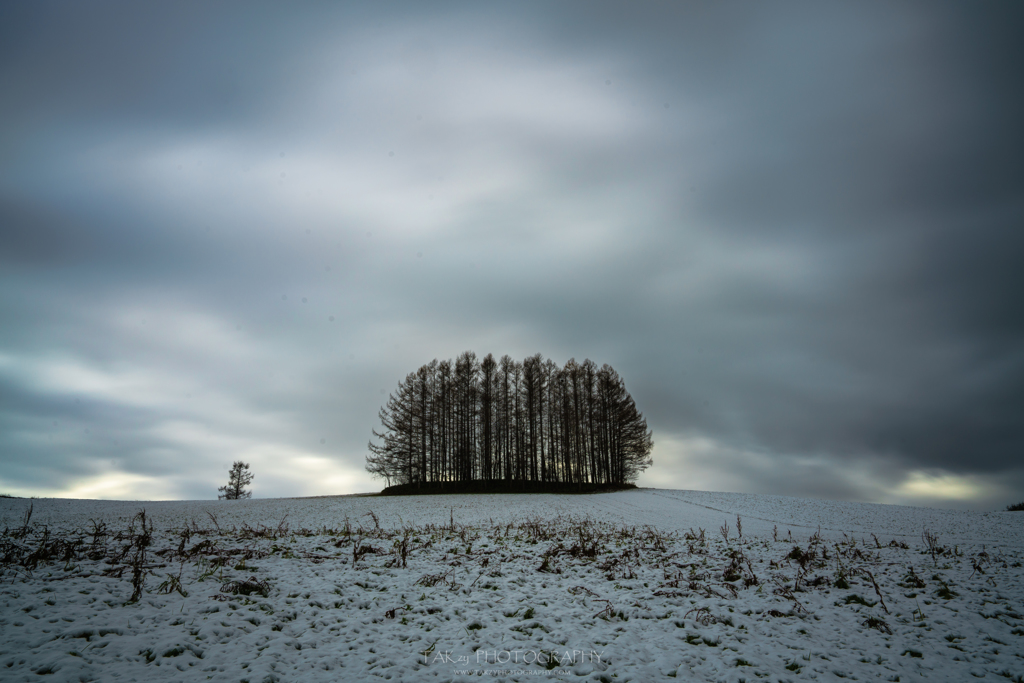 Mildsevenhill in early winter