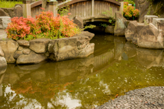 秋の気配