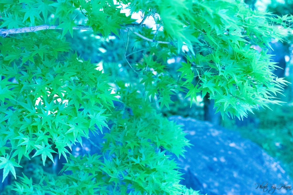 少し休憩・・・