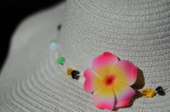 hat